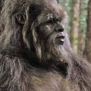 Meet your Posher, Zach